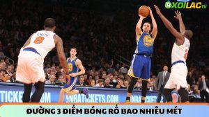 Chiều cao rổ bóng rổ theo luật